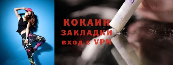 твердый Аркадак