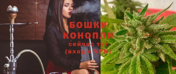 твердый Аркадак