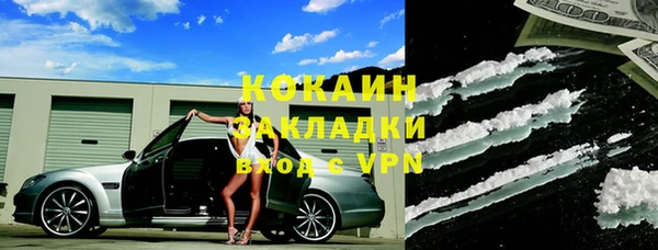твердый Аркадак