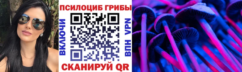 Галлюциногенные грибы Psilocybine cubensis Полярный